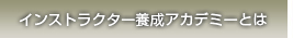 󥹥ȥ饯ǥߡȤ 